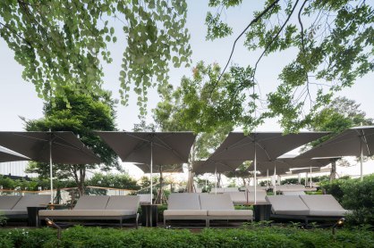 Park Hyatt Bangkok Landscape Architects » P Landscape